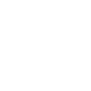 Meldungen von Hunden und Katzen, welche die Veterinäreinfuhrbedingungen nicht erfüllen